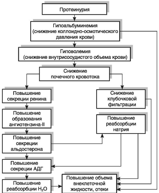 Нефротический синдром 2 (рис. 1)