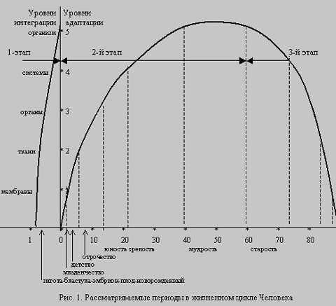 Жизненный цикл Человека (рис. 1) Жизненный цикл Человека (рис. 1)