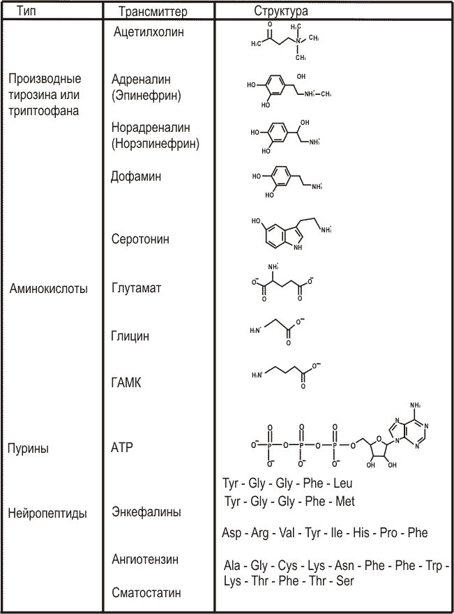 Нейромедиаторы (нейротрансмиттеры): общие сведения (рис. 1)