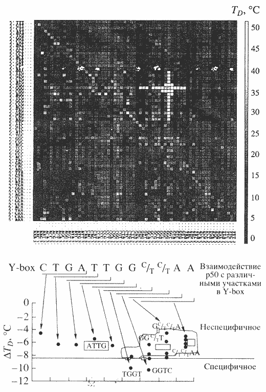 БИОЧИПЫ В БИОЛОГИИ И МЕДИЦИНЕ XXI ВЕКА (рис. 3)