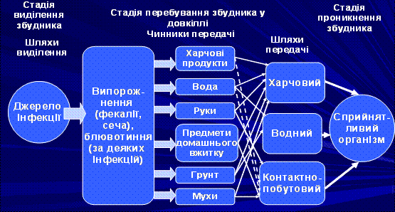 Основні механізми передачі збудників інфекції (рис. 4)