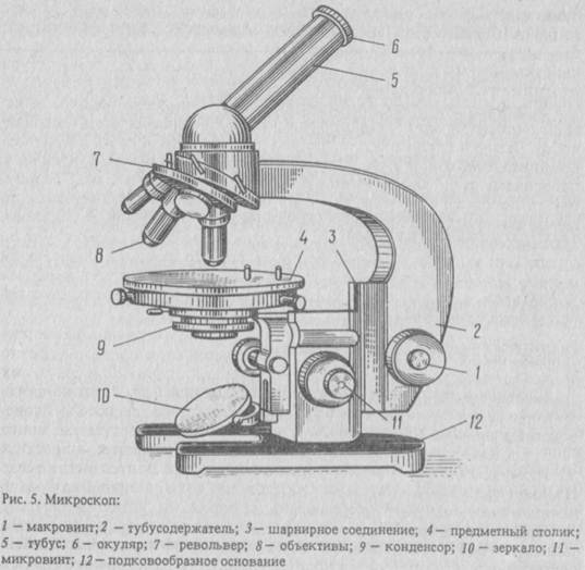 Бактериологическая лаборатория (рис. 8)