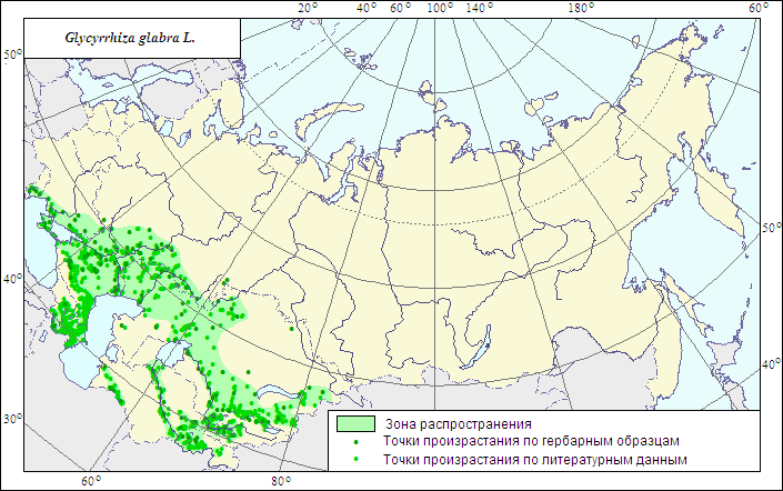 Иммуностимулирующие лекарственные растения алоэ древовидное, виды солодки, эхинацея пурпурная (рис. 17) Иммуностимулирующие лекарственные растения алоэ древовидное, виды солодки, эхинацея пурпурная (рис. 17)