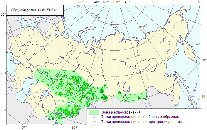 Иммуностимулирующие лекарственные растения алоэ древовидное, виды солодки, эхинацея пурпурная (рис. 18) Иммуностимулирующие лекарственные растения алоэ древовидное, виды солодки, эхинацея пурпурная (рис. 18)
