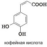 Иммуностимулирующие лекарственные растения алоэ древовидное, виды солодки, эхинацея пурпурная (рис. 8) Иммуностимулирующие лекарственные растения алоэ древовидное, виды солодки, эхинацея пурпурная (рис. 8)