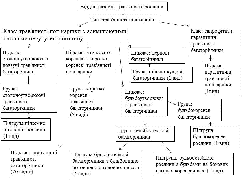 Поширення, стан популяцій та охорона весняних ефемероїдів флори Київської області (рис. 1) Поширення, стан популяцій та охорона весняних ефемероїдів флори Київської області (рис. 1)