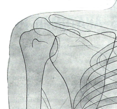 Некоторые причины возникновения профессиональных заболеваний у домристов и способы их устранения (рис. 1) Некоторые причины возникновения профессиональных заболеваний у домристов и способы их устранения (рис. 1)