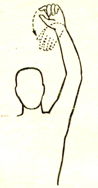 Некоторые причины возникновения профессиональных заболеваний у домристов и способы их устранения (рис. 13) Некоторые причины возникновения профессиональных заболеваний у домристов и способы их устранения (рис. 13)