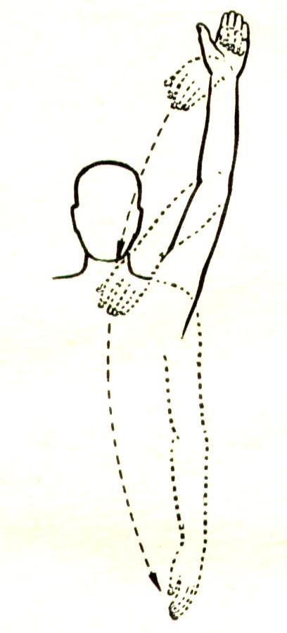 Некоторые причины возникновения профессиональных заболеваний у домристов и способы их устранения (рис. 15) Некоторые причины возникновения профессиональных заболеваний у домристов и способы их устранения (рис. 15)