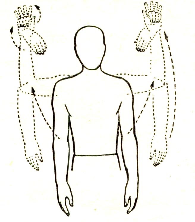 Некоторые причины возникновения профессиональных заболеваний у домристов и способы их устранения (рис. 16) Некоторые причины возникновения профессиональных заболеваний у домристов и способы их устранения (рис. 16)