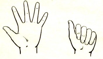 Некоторые причины возникновения профессиональных заболеваний у домристов и способы их устранения (рис. 17) Некоторые причины возникновения профессиональных заболеваний у домристов и способы их устранения (рис. 17)