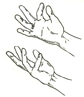 Некоторые причины возникновения профессиональных заболеваний у домристов и способы их устранения (рис. 19) Некоторые причины возникновения профессиональных заболеваний у домристов и способы их устранения (рис. 19)
