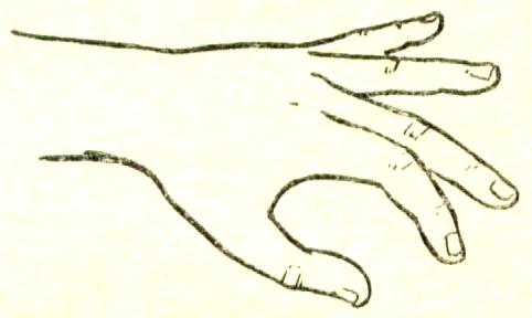 Некоторые причины возникновения профессиональных заболеваний у домристов и способы их устранения (рис. 21) Некоторые причины возникновения профессиональных заболеваний у домристов и способы их устранения (рис. 21)