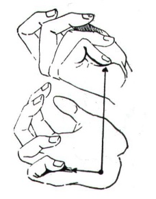 Некоторые причины возникновения профессиональных заболеваний у домристов и способы их устранения (рис. 23) Некоторые причины возникновения профессиональных заболеваний у домристов и способы их устранения (рис. 23)