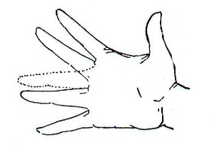 Некоторые причины возникновения профессиональных заболеваний у домристов и способы их устранения (рис. 24) Некоторые причины возникновения профессиональных заболеваний у домристов и способы их устранения (рис. 24)