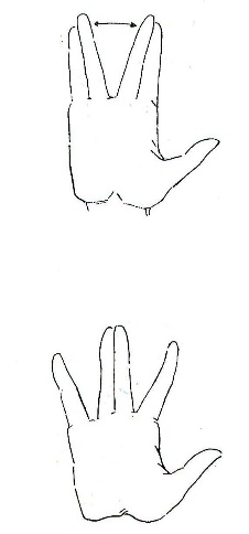 Некоторые причины возникновения профессиональных заболеваний у домристов и способы их устранения (рис. 28) Некоторые причины возникновения профессиональных заболеваний у домристов и способы их устранения (рис. 28)