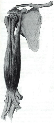 Некоторые причины возникновения профессиональных заболеваний у домристов и способы их устранения (рис. 3) Некоторые причины возникновения профессиональных заболеваний у домристов и способы их устранения (рис. 3)