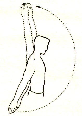 Некоторые причины возникновения профессиональных заболеваний у домристов и способы их устранения (рис. 33) Некоторые причины возникновения профессиональных заболеваний у домристов и способы их устранения (рис. 33)