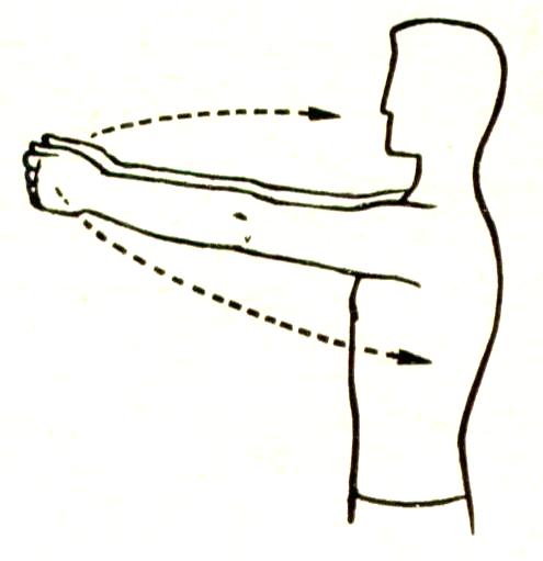 Некоторые причины возникновения профессиональных заболеваний у домристов и способы их устранения (рис. 34) Некоторые причины возникновения профессиональных заболеваний у домристов и способы их устранения (рис. 34)
