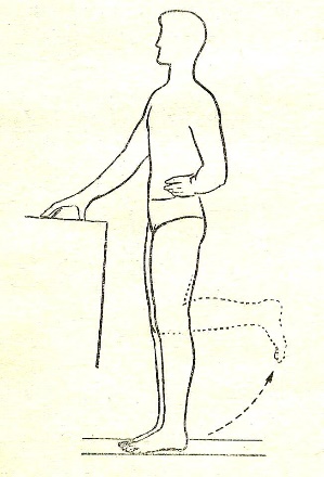 Некоторые причины возникновения профессиональных заболеваний у домристов и способы их устранения (рис. 36) Некоторые причины возникновения профессиональных заболеваний у домристов и способы их устранения (рис. 36)