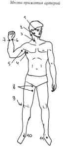 ОКАЗАНИЕ ПЕРВОЙ МЕДИЦИНСКОЙ ПОМОЩИ ПРИ ЭКСТРЕМАЛЬНЫХ ВИДАХ СПОРТА ПАРАПЛАНЕРИЗМ (рис. 12) ОКАЗАНИЕ ПЕРВОЙ МЕДИЦИНСКОЙ ПОМОЩИ ПРИ ЭКСТРЕМАЛЬНЫХ ВИДАХ СПОРТА ПАРАПЛАНЕРИЗМ (рис. 12)