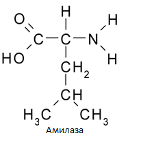 Эффективность работы пищеварительных ферментов в зависимости от химических и физических факторов (рис. 1) Эффективность работы пищеварительных ферментов в зависимости от химических и физических факторов (рис. 1)