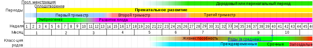 Количественная и качественная характеристика гормонов фето-плацентарной системы (рис. 1) Количественная и качественная характеристика гормонов фето-плацентарной системы (рис. 1)