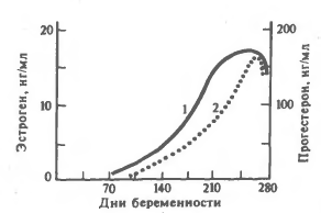 Количественная и качественная характеристика гормонов фето-плацентарной системы (рис. 3) Количественная и качественная характеристика гормонов фето-плацентарной системы (рис. 3)