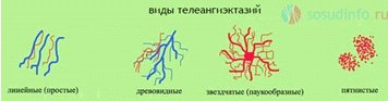 Розробка складу, технології та дослідження антикуперозного косметичного засобу (рис. 2) Розробка складу, технології та дослідження антикуперозного косметичного засобу (рис. 2)
