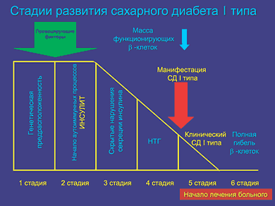 Участие медицинской сестры в лечебно-диагностическом процессе пациентов с сахарным диабетом (рис. 1) Участие медицинской сестры в лечебно-диагностическом процессе пациентов с сахарным диабетом (рис. 1)