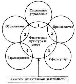 Конверсия основных положении теории спортивной подготовки в процессе физического воспитания (рис. 2) Конверсия основных положении теории спортивной подготовки в процессе физического воспитания (рис. 2)