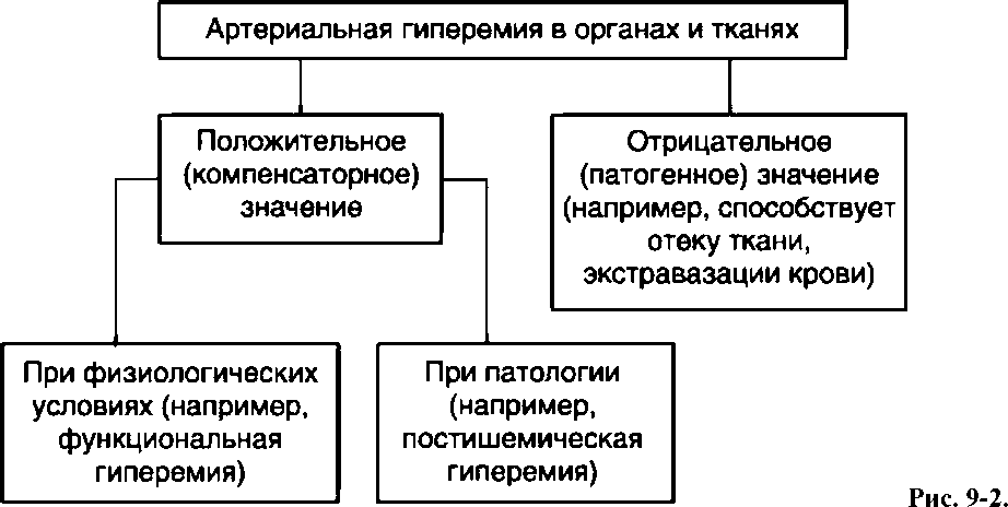 ПАТОФИЗИОЛОГИЯ ПЕРИФЕРИЧЕСКОГО (ОРГАННОГО) КРОВООБРАЩЕНИЯ И МИКРОЦИРКУЛЯЦИИ (рис. 3) ПАТОФИЗИОЛОГИЯ ПЕРИФЕРИЧЕСКОГО (ОРГАННОГО) КРОВООБРАЩЕНИЯ И МИКРОЦИРКУЛЯЦИИ (рис. 3)