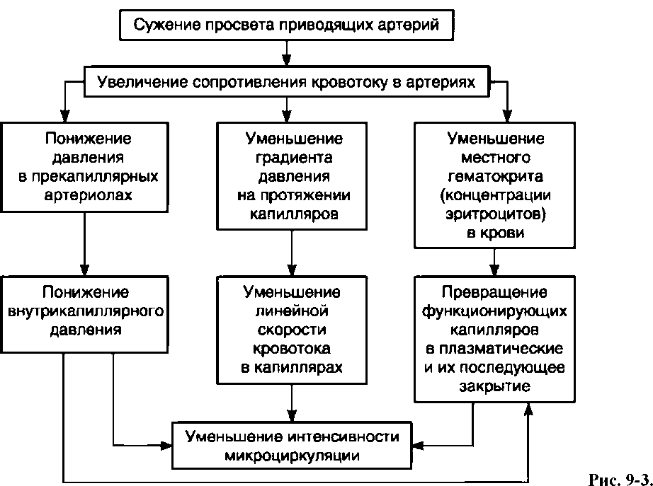 ПАТОФИЗИОЛОГИЯ ПЕРИФЕРИЧЕСКОГО (ОРГАННОГО) КРОВООБРАЩЕНИЯ И МИКРОЦИРКУЛЯЦИИ (рис. 4) ПАТОФИЗИОЛОГИЯ ПЕРИФЕРИЧЕСКОГО (ОРГАННОГО) КРОВООБРАЩЕНИЯ И МИКРОЦИРКУЛЯЦИИ (рис. 4)