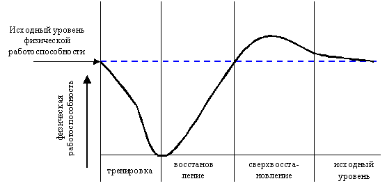 Почему при систематических тренировках повышается работоспособность человека (рис. 1) Почему при систематических тренировках повышается работоспособность человека (рис. 1)
