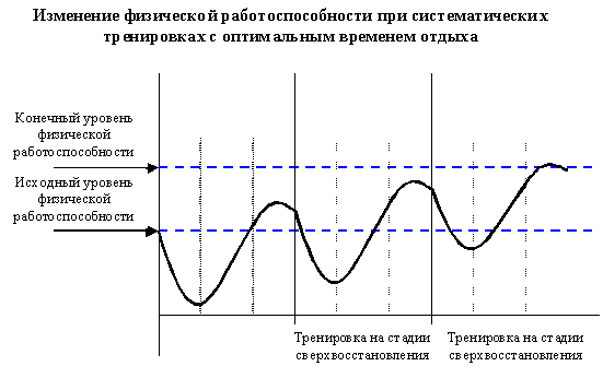 Почему при систематических тренировках повышается работоспособность человека (рис. 4) Почему при систематических тренировках повышается работоспособность человека (рис. 4)