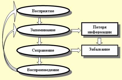 ПРОФЕССИОНАЛЬНО-ПСИХОЛОГИЧЕСКИЙ ТРЕНИНГ ПОЗНАВАТЕЛЬНЫХ КАЧЕСТВ СОТРУДНИКОВ ОРГАНОВ ВНУТРЕННИХ ДЕЛ (рис. 1) ПРОФЕССИОНАЛЬНО-ПСИХОЛОГИЧЕСКИЙ ТРЕНИНГ ПОЗНАВАТЕЛЬНЫХ КАЧЕСТВ СОТРУДНИКОВ ОРГАНОВ ВНУТРЕННИХ ДЕЛ (рис. 1)